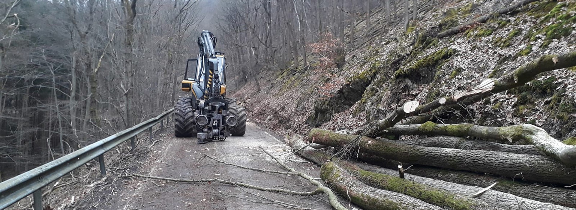 001_gefahrbaumfaellung_schindel.jpg