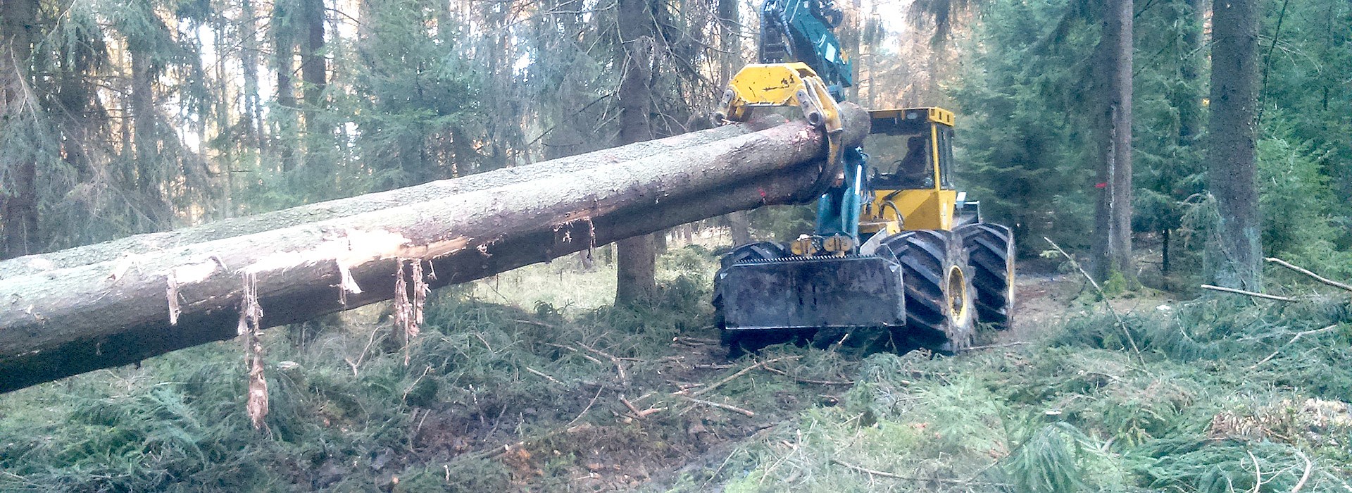 002--holzrueckung_schindel.jpg