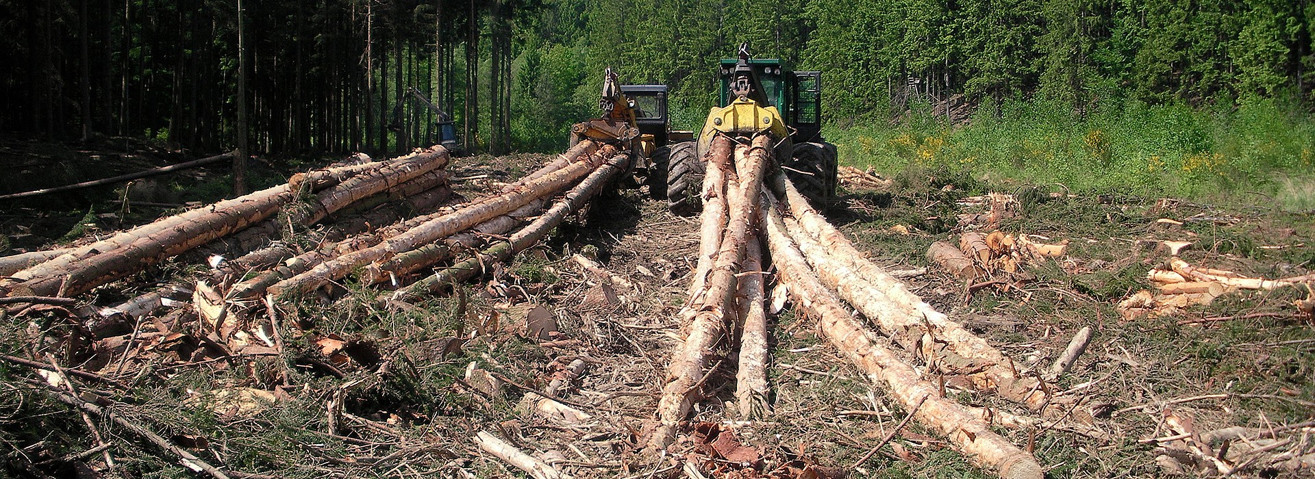 004--holzrueckung_schindel.jpg