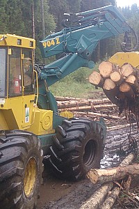 holzrueckung schindel