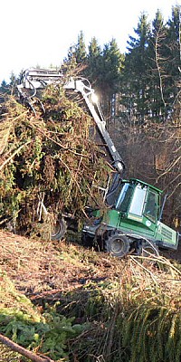 flaechenraeumung schlagabraum rueckung