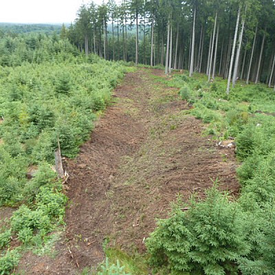 flaechenraeumung-(5)