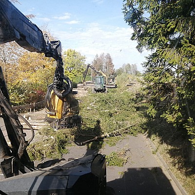 gefahrbaumfaellung verkehrssicherung-2