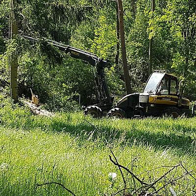 hochmechanisierte holzernte-2