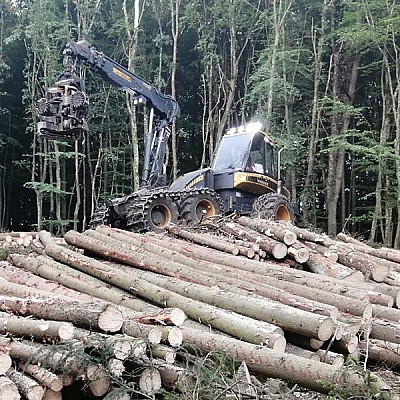 hochmechanisierte holzernte-3