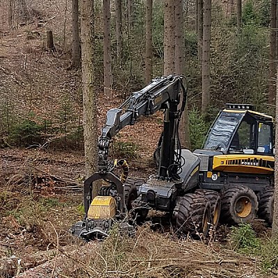 hochmechanisierte holzernte-4