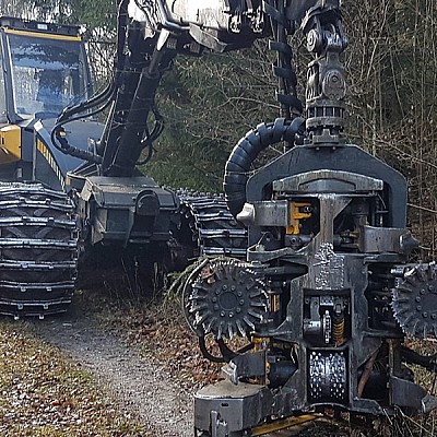 hochmechanisierte holzernte-5