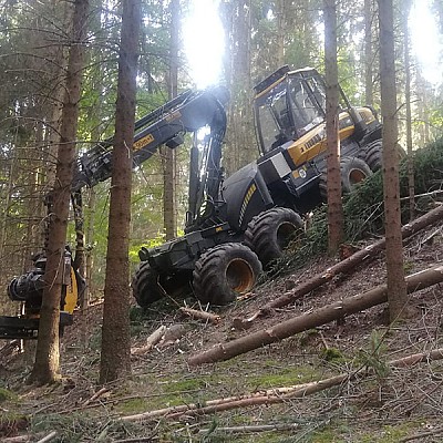 hochmechanisierte holzernte-6