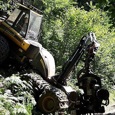 hochmechanisierte holzernte-7