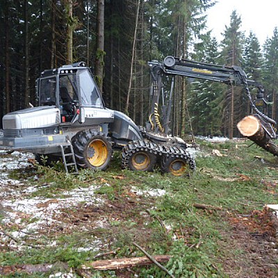 hochmechanisierte holzernte-8