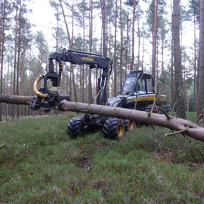 hochmechanisierte holzernte-9