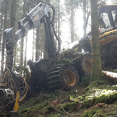 hochmechanisierte holzernte