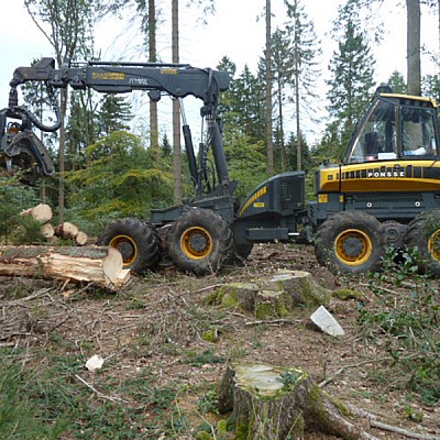 hochmechanisierte starkholzernte