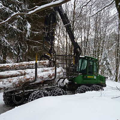 stammholz rueckung mit forwarder-(2)