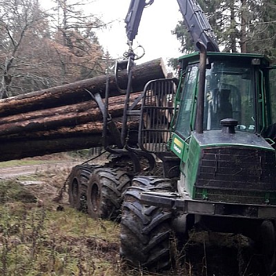 stammholz rueckung mit klemmbank forwarder-2