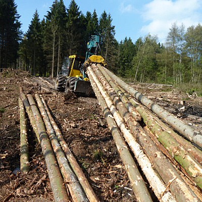 stammholzrueckung forstspezialschlepper-3