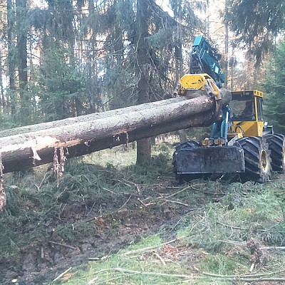 stammholzrueckung forstspezialschlepper-4