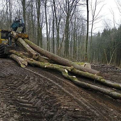 stammholzrueckung forstspezialschlepper-5