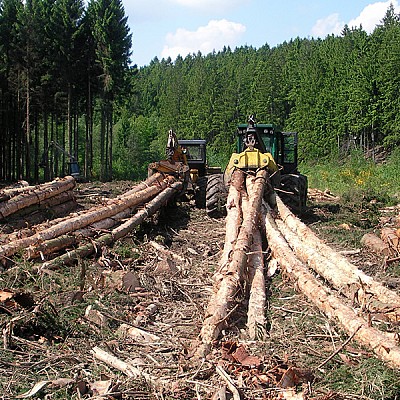 stammholzrueckung mit forstspezialschlepper-2