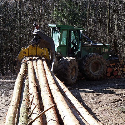 stammholzrueckung mit forstspezialschlepper-6