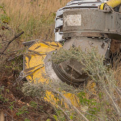 bodenverwundung 355514725