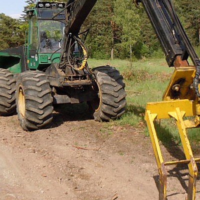 bodenverwungung schindel