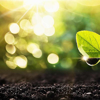 bodenverwundung 202019298