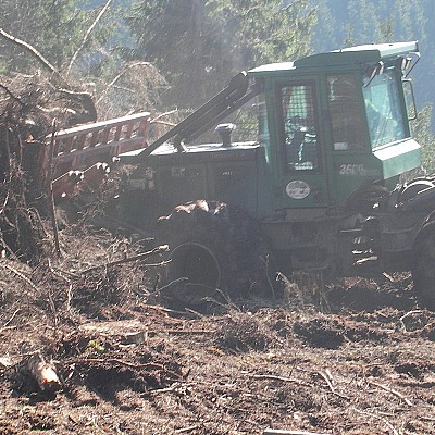 flaechenraeumung schindel