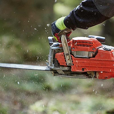 gefahrbaumfaellung-215108979