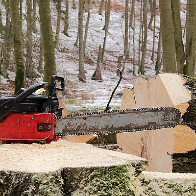 holzeinschlag 248191776