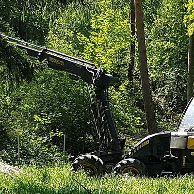 holzernte schindel-2