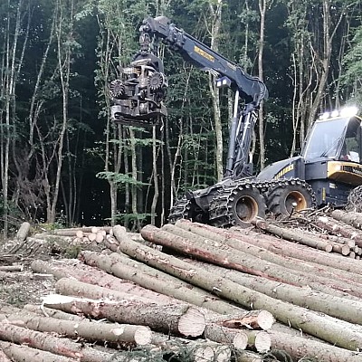 holzernte schindel-3