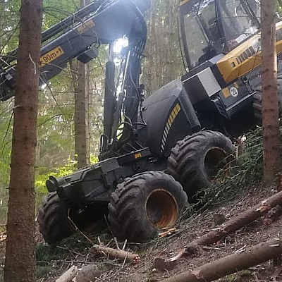 holzernte schindel-6