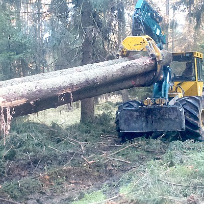holzrueckung schindel