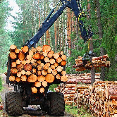 holzrueckung 171039502