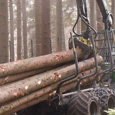 holzrueckung schindel