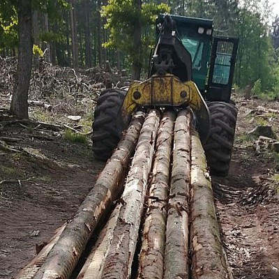holzrueckung schindel