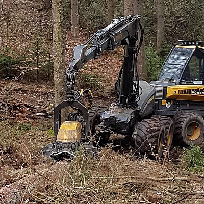 kunde-holzernte-schindel-4