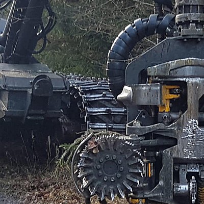 kunde-holzernte-schindel-5