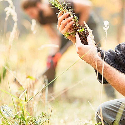 kulturbegruendung 271940395