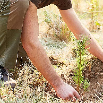 kulturbegruendung 282255808